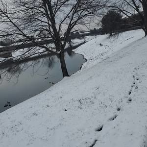 Meet your Posher, Layla